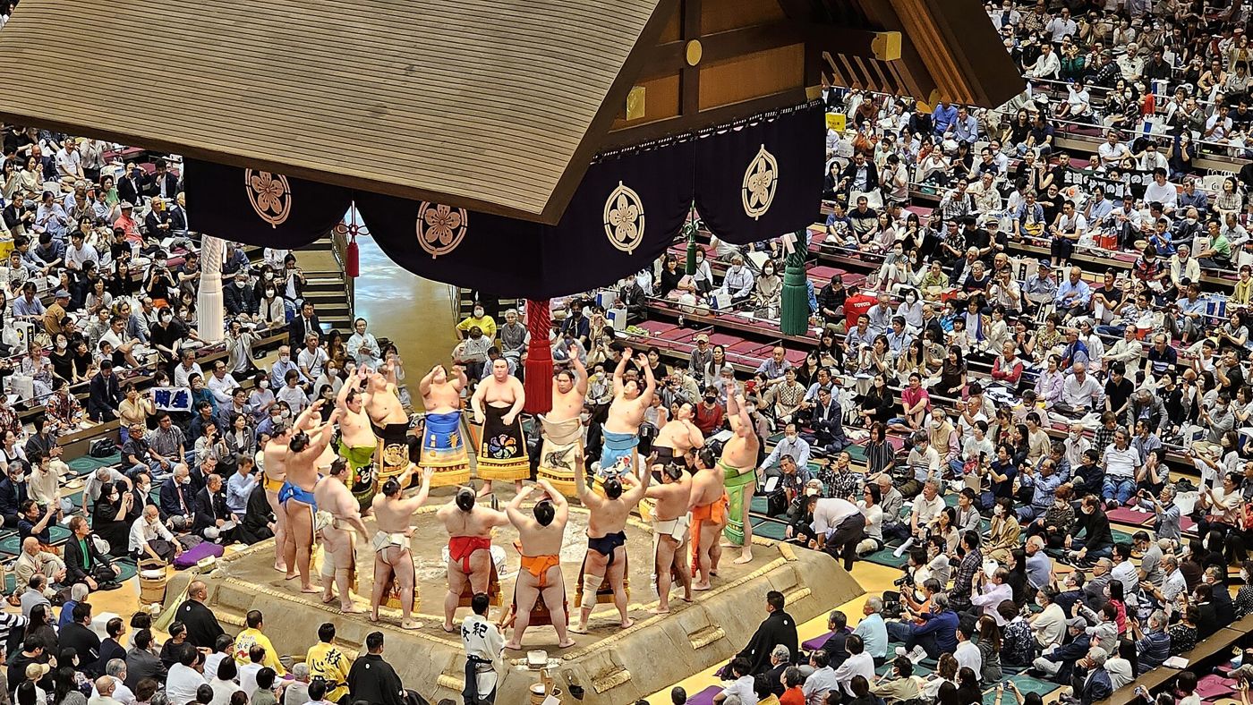 Sumo experience